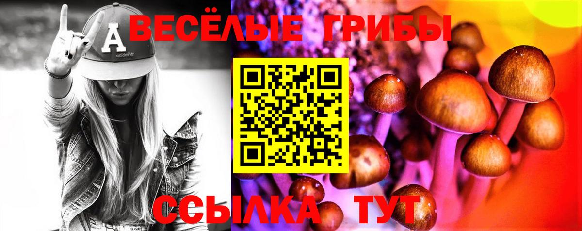 Псилоцибиновые грибы прущие грибы  Псилоцибиновые грибы Psilocybe  Донецк  цена   Вход с VPN 